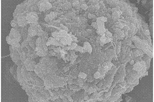 锂离子电池负极材料VO2/CNTs微球的制备方法