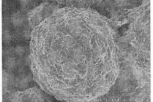 锂离子二次电池用正极、石墨烯-正极活性物质复合体粒子及它们的制造方法以及锂离子二次电池用正极糊料