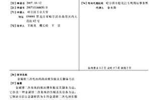 金属锂二次电池的泡沫锂负极及其制备方法