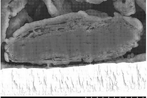 锂离子二次电池用负极材料及其制造方法、锂离子二次电池用负极和锂离子二次电池