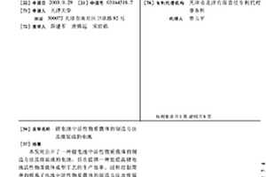 锂电池中活性物质载体的制造方法及组装成的电池