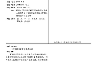 镁锂合金表面处理方法
