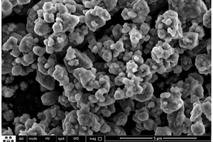 小粒径补锂添加剂Li<Sub>5</Sub>FeO<Sub>4</Sub>的制备方法和应用