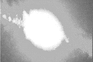 Zr、Mg共掺铁铌酸锂晶体的制备方法