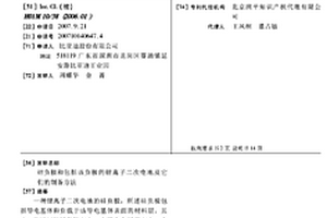 硅负极和包括该负极的锂离子二次电池及它们的制备方法