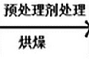 锂离子电池负极极片的预处理方法