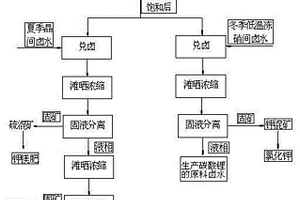 盐湖提锂母液回收利用的盐田滩晒方法