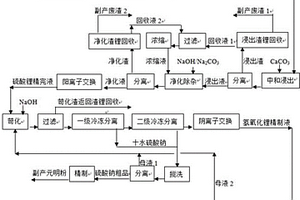 电池级单水氢氧化锂生产工艺