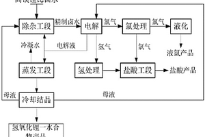 利用盐湖卤水电解制备氢氧化锂的方法