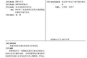 锂硫电池的正极及其制备方法和电池
