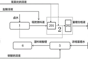 用于低品位卤水提锂的系统