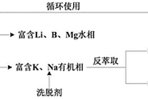 卤水中钾和锂的预富集萃取体系及预富集方法