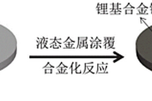 高稳定长寿命金属锂负极材料及其制备方法与应用