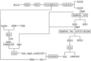 采用硝酸加压法处理锂云母生产多种锂产品的方法