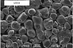 锂钴复合氧化物锂离子正极材料及其制备方法