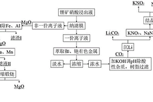 锂矿硝酸浸出液膜法生产碳酸锂的方法