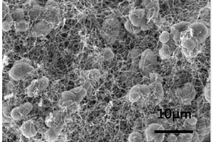 三维C/Fe<Sub>3</Sub>O<Sub>4</Sub>锂离子电池负极材料及其制备方法