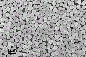 锂离子电池负极材料用摇铃状Fe<sub>3</sub>O<sub>4</sub>/C/MoS<sub>2</sub>杂化微粒