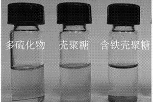 多功能锂硫电池隔膜的制备方法和应用