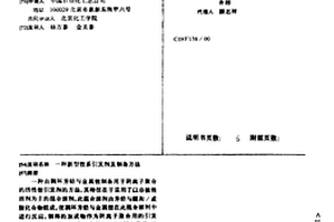 新型锂系引发剂及制备方法