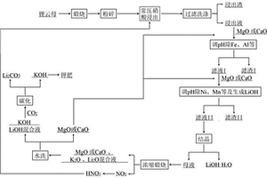 采用硝酸常压法处理锂云母生产锂产品的方法