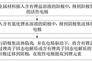 基于锂离子固态电解质的锂元素提取方法及装置