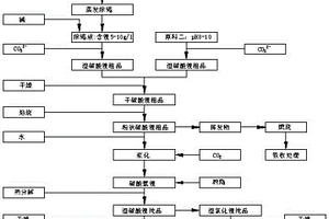 从医药及合成塑料含锂废液中回收利用锂的工艺方法