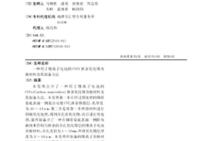 用于锂离子电池的CNTS掺杂氧化锡负极材料及其制备方法
