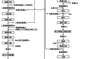 采用硫酸锂粗矿制备电池级碳酸锂并回收副产物的方法