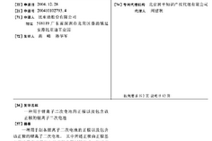 用于锂离子二次电池的正极以及包含该正极的锂离子二次电池