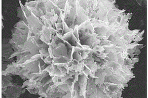 具有介孔结构的Cu3BiS3微米球的制备方法