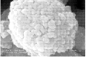 纳米二氧化锡单晶颗粒团聚亚微米多晶球及其制备方法