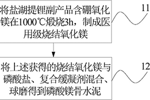 磷酸镁骨水泥及其制备方法和应用
