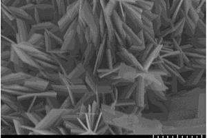 二氧化钒纳米片状材料及其制备方法和应用