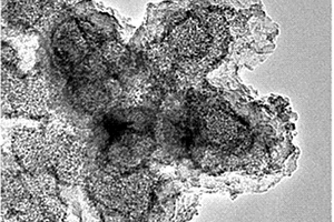碳纳米胶囊及其制备方法