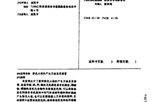 彩色火焰的产生方法及其装置