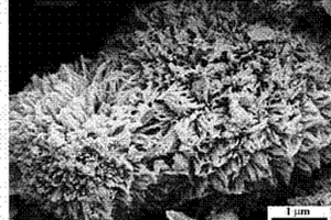 Co3O4微球花状材料及其制备方法和应用