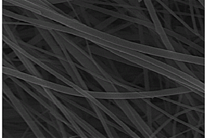 自支撑纳米纤维纸及其制备方法
