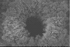 空心球状金红石二氧化钛介晶及其制备方法