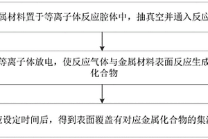 等离子体技术原位生成金属化合物的集流体制备方法
