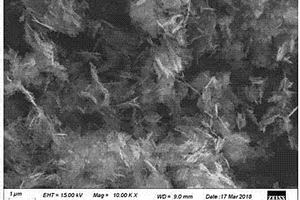 纳米三硫化钨的制备方法及应用