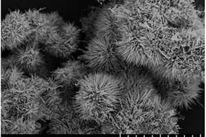 海胆状五氧化二铌电极材料及其制备方法