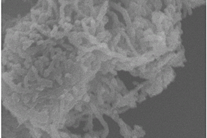聚吡咯/多壁纳米碳管/硫复合材料的制备方法及应用