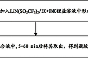 PAN基质凝胶聚合物电解质及其制备方法