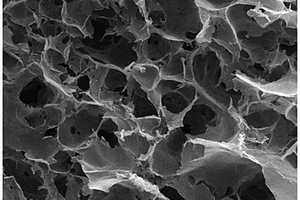 纤维素-壳聚糖复合气凝胶及其制备方法与应用