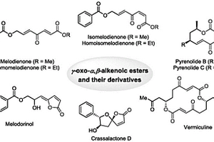 抗肿瘤天然药物melodienones及其类似物的制备方法