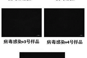 超耐磨长效抗菌抗病毒纳米涂料及其制备方法