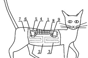 铜铟镓硒薄膜太阳能电池应用在宠物猫衣服上的保暖装置