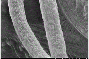 钒酸铜/聚丙烯腈基碳纳米纤维复合材料的制备方法