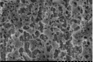 以纳米级铝粉和/或镁粉为成孔物质的多孔聚酰亚胺薄膜的制备方法